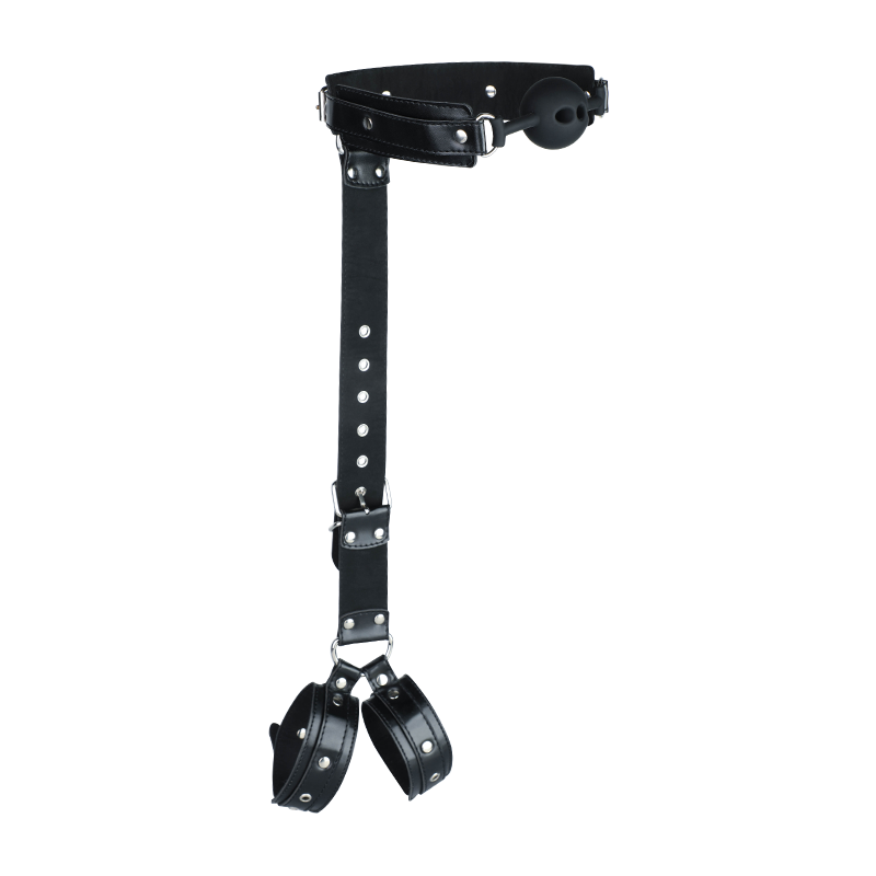 BDSM