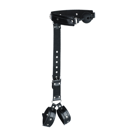 Mizz Zee Behind-the-Back Restraint & Gag Combo